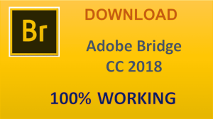Download Adobe Bridge CC 2017 Full