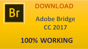 Tải Adobe Bridge 2023 Miễn Phí