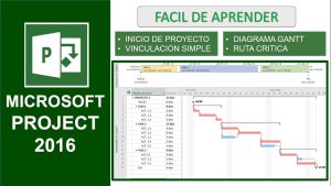 Download Microsoft Project 2021 Full Crack